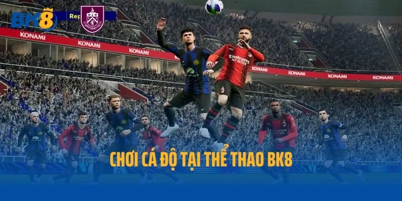 Chơi cá độ tại thể thao BK8